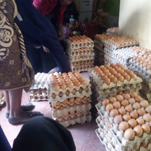 Women Like Us Center in Kenya - gathering eggs